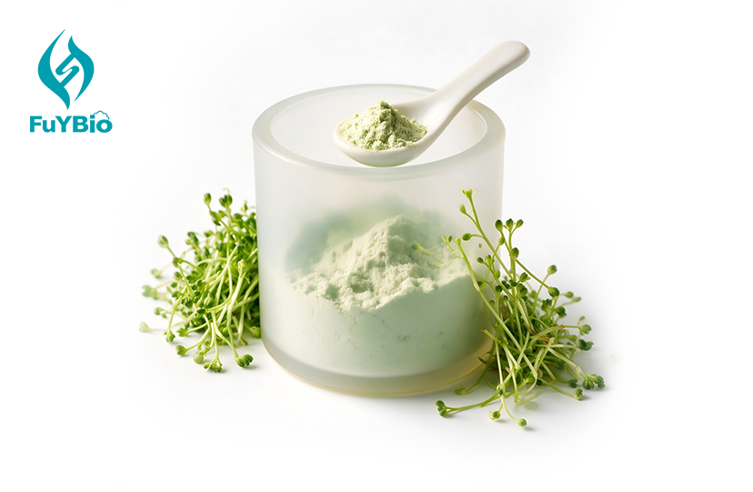 Organic Broccoli Sprout Extract